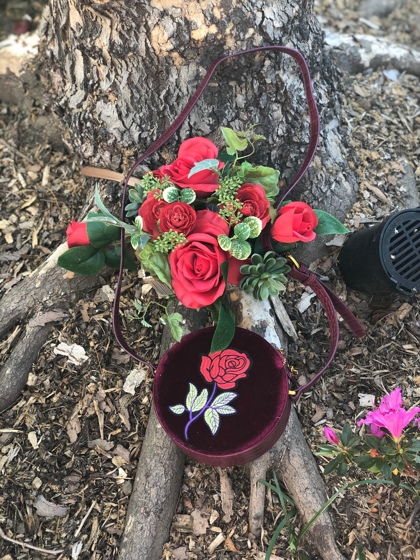 RING AROUND THE ROSES
